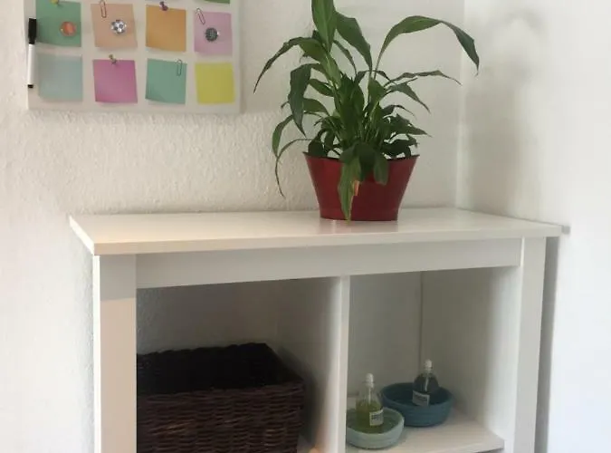 Casa Mallorca شقة *